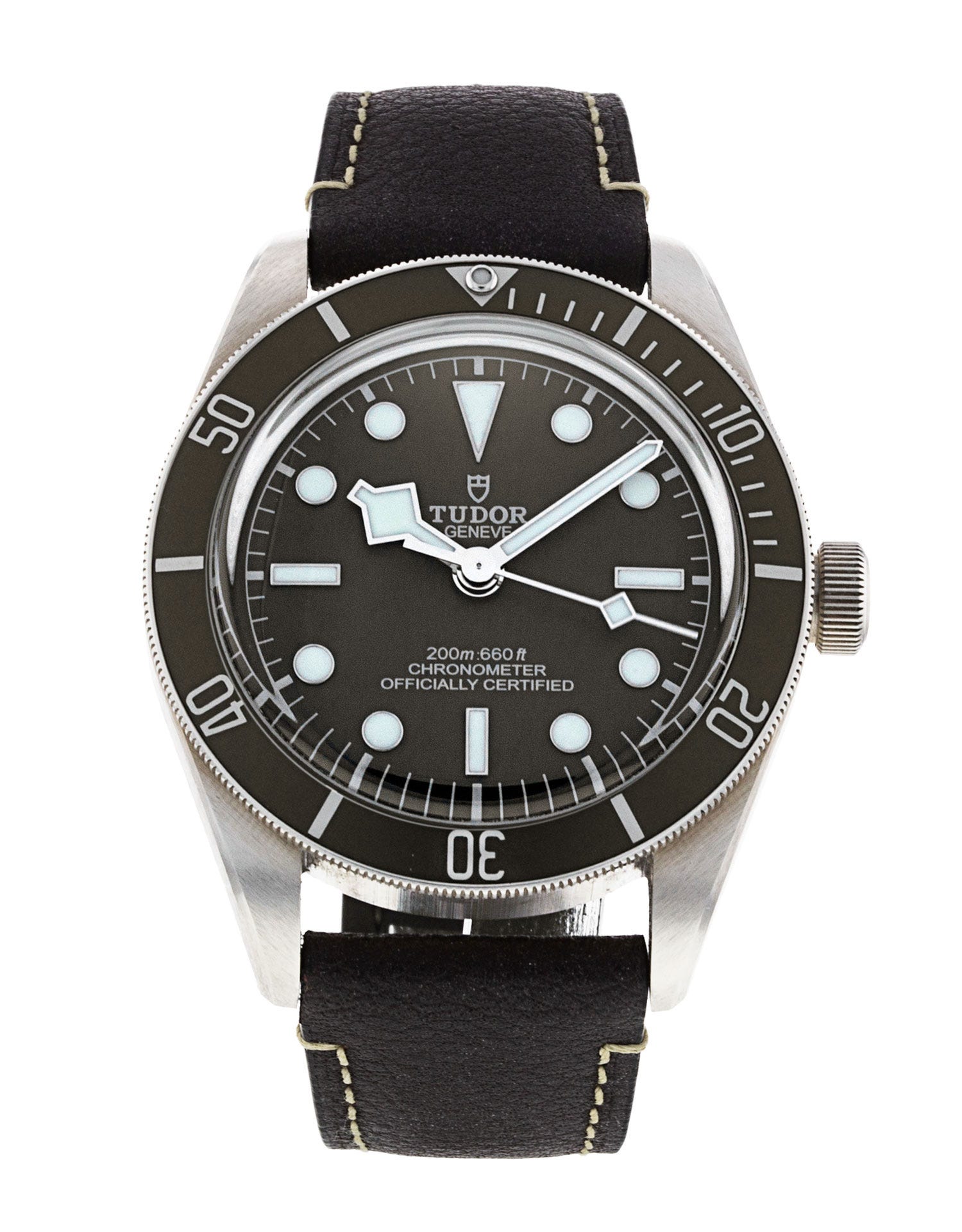 Tudor Black Bay 58 M79010SG-0001